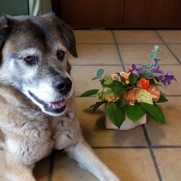 59d4c5ac 17c9 478d 88f1 e07bf977f06a 1555897142489