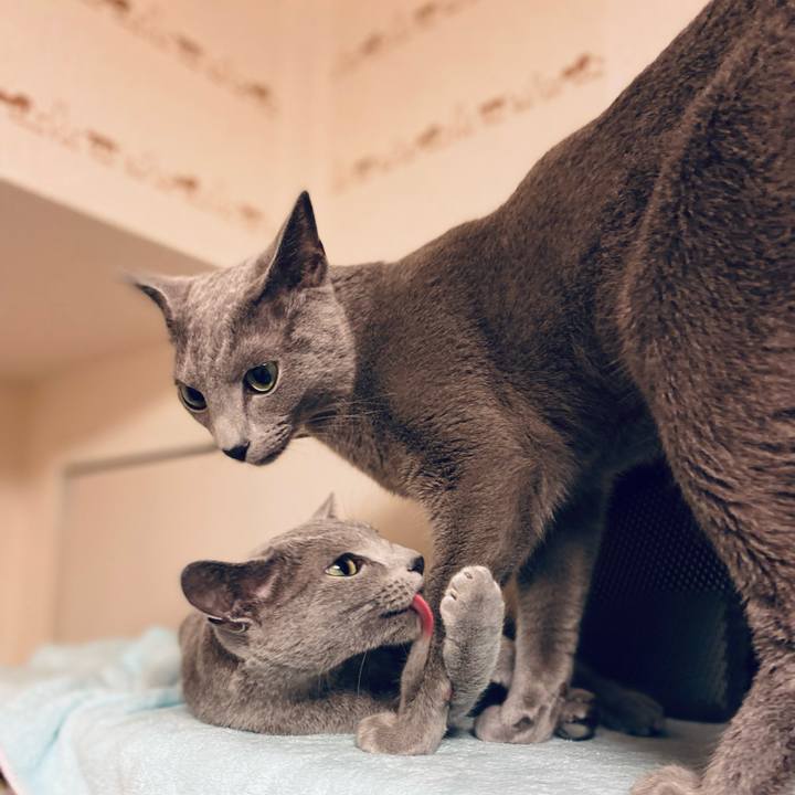 59d4c96d 2e5b 4d35 84b8 c5a28872ba3d 1654124322816