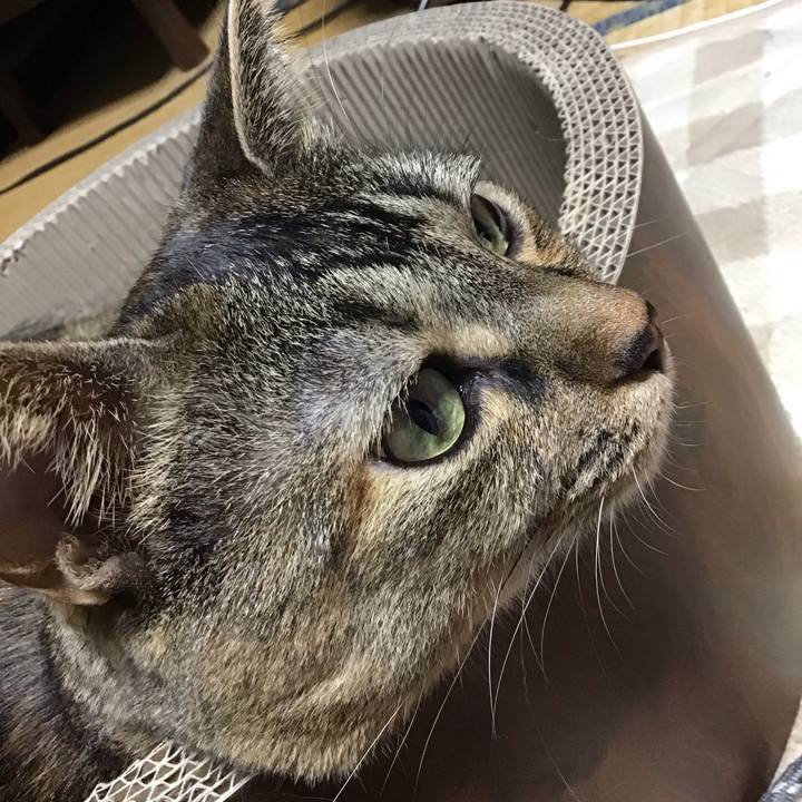 59d4d763 7791 40e2 ba0d 1ede6879cabc 1698061921360