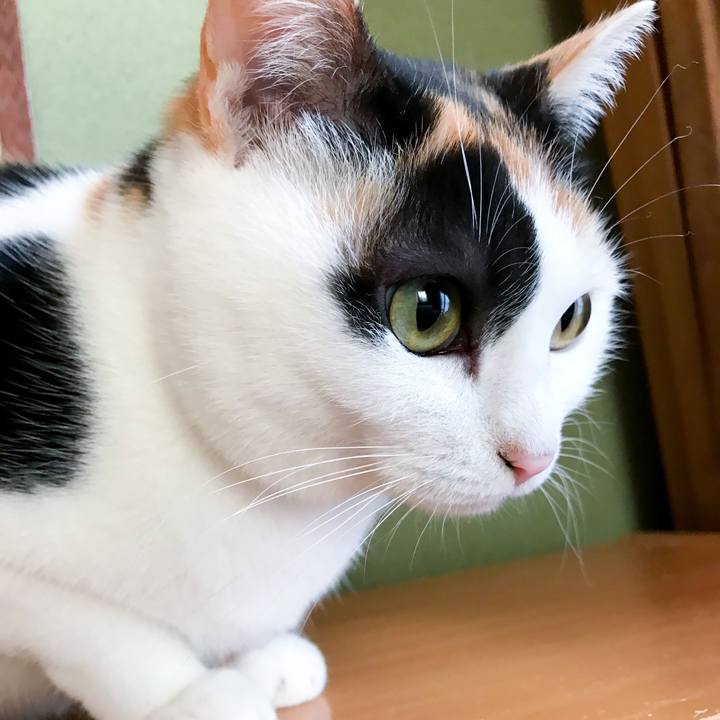 59d50975 a6dd 40e1 9c40 4d3336662f37 1515803769717