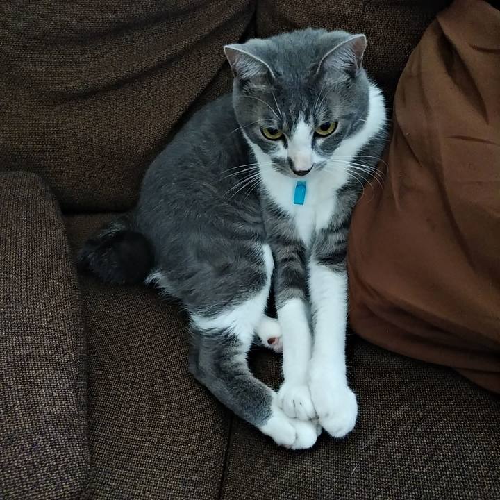 59d54c0f a7d7 447a bfde 977eea9f7283 1594689817271