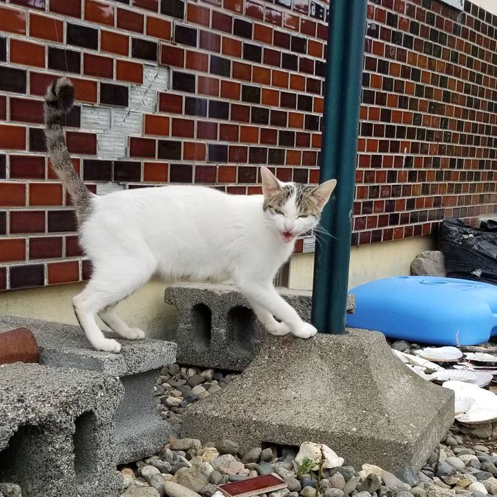 59d56861 6566 4f4b 883c 681b450b3494 1566310114894