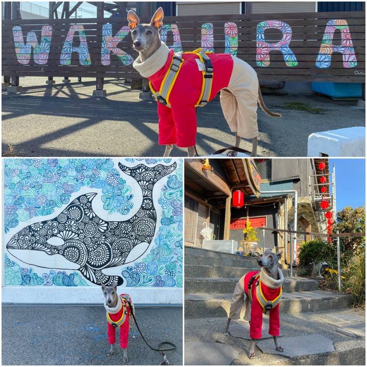 59d58ad5 e447 4999 866b 9f80c9af8d28 1769768177142