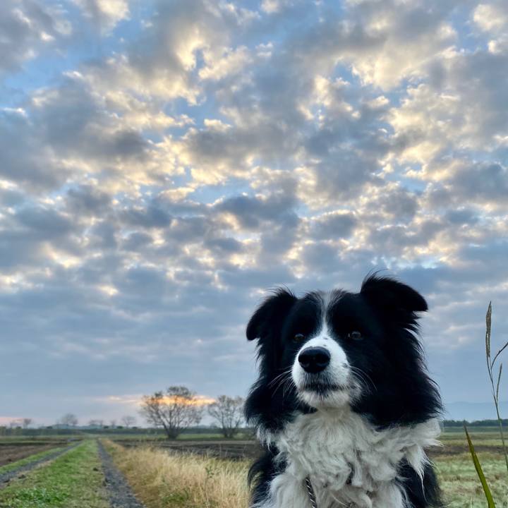 59d59fbb 0e71 4f5d bb7a e2a63d531b20 1606347781644