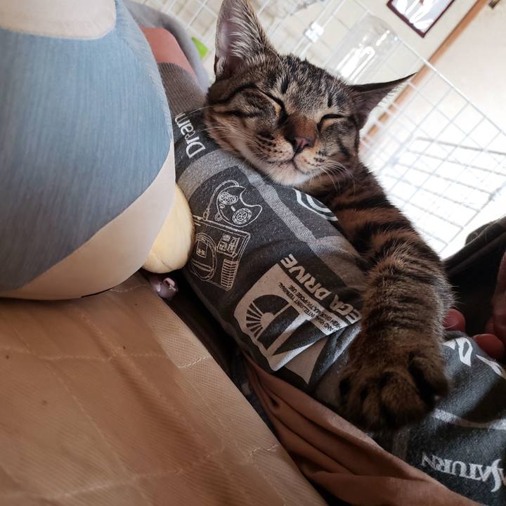 59d5d8c1 8d6e 4bda 89a5 9deb96e7f7ee 1543812096270