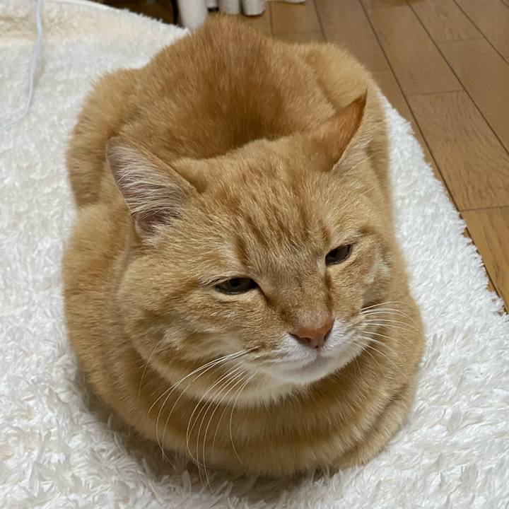 59d5def6 e2f6 4de3 b15f 09538b7ead02 1642504243219