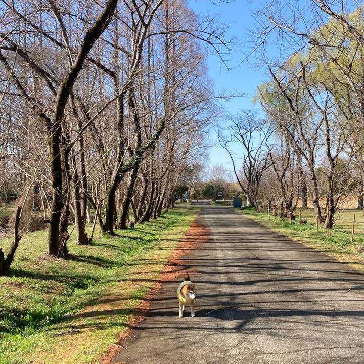 59d61f3d fbb8 41fc b56a 27e0e3f9aff2 1772862499161