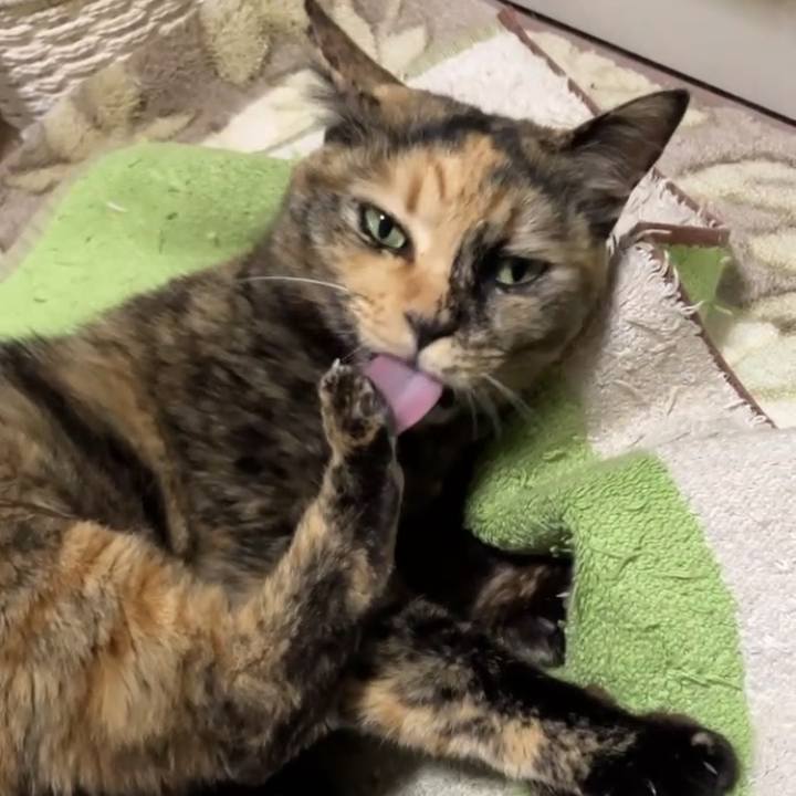 59d636ac 2100 43b4 a213 3b8277444a62 1735415723034