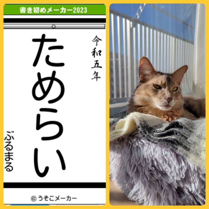 59d6535c a7c6 40f7 8df4 6ab402b72a74 1672797104625