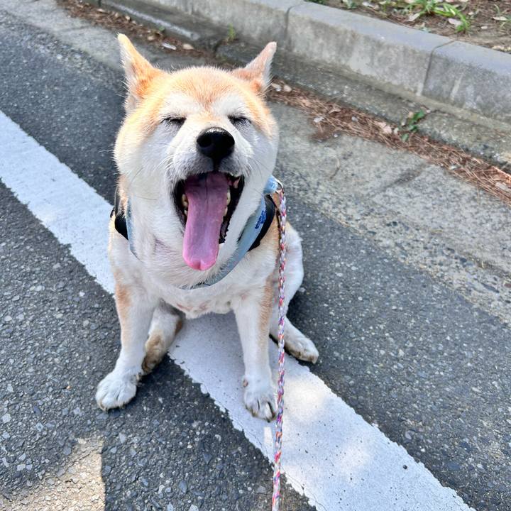 59d6683d 14e8 47dc 9a25 b87d37883d09 1751589591213