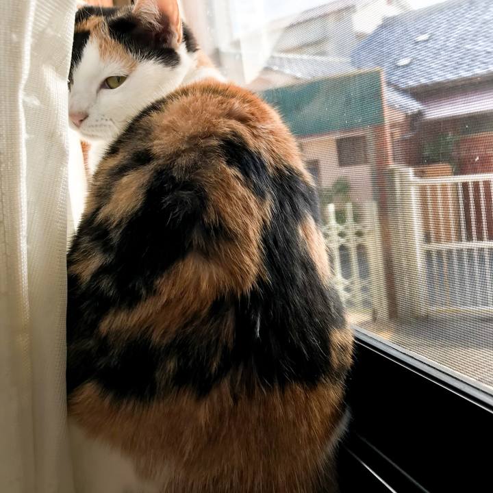 59d670a1 a776 4fde b83c 03291bfea3ca 1517272749350