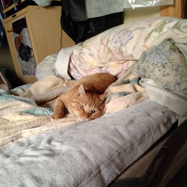 59d6eee6 7725 480a 9add b115374e5229 1694384967245