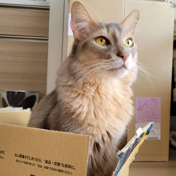 59d6efec 4027 404f 94ab 7f213ca40a55 1647651183024