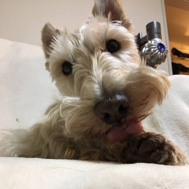 59d6f656 4085 44a0 8e48 436978aca81e 1557147170491