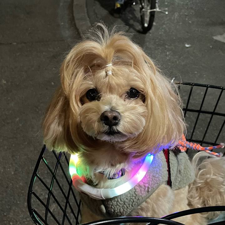 59d71147 d45c 43aa bbc6 f40c481ad165 1667814994273