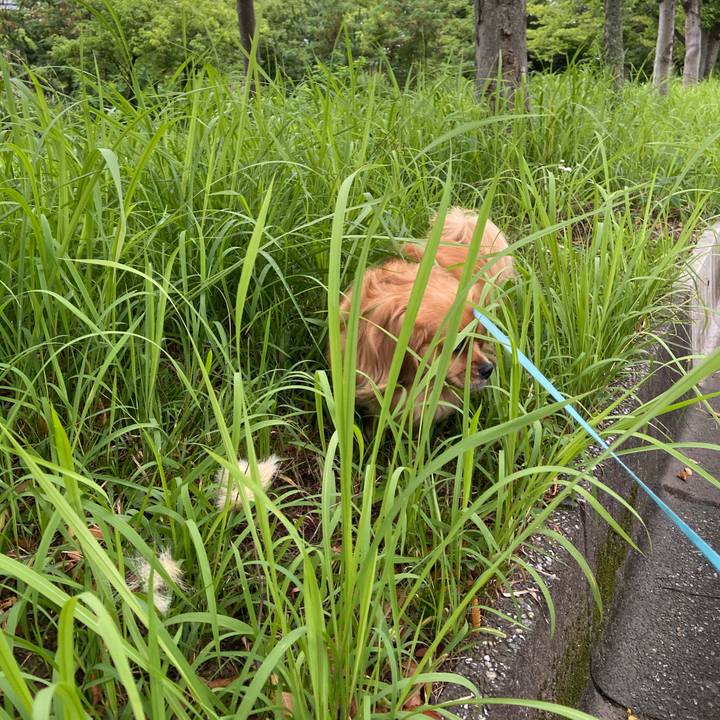 59d734a3 3397 4b9a afdb cb50cd8465cf 1594591030260