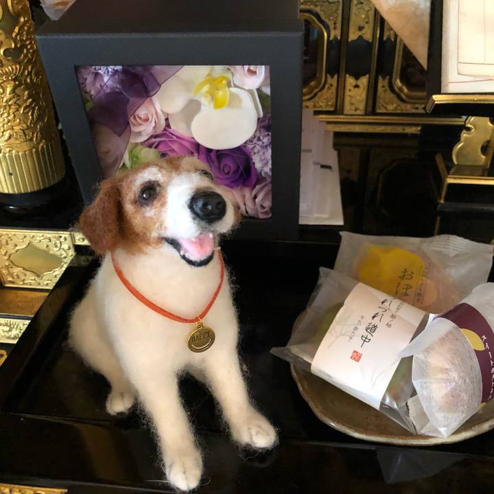 59d743e0 a71e 46e9 a5f3 b1fc24a64c5f 1565755203761