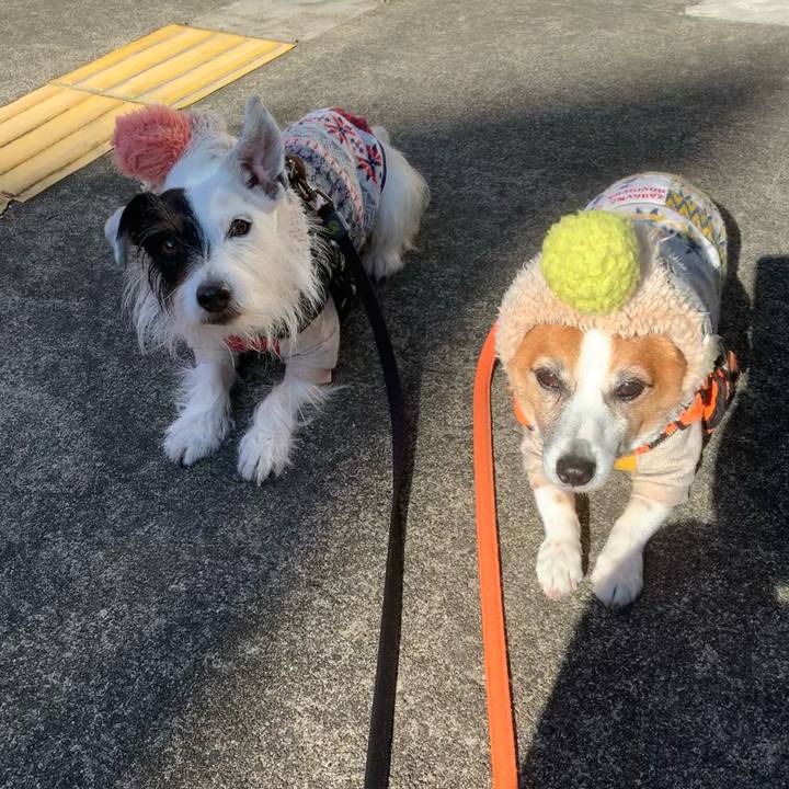 59d778fd 4a8f 43ef ae01 550bc6d9c6e7 1639529637923