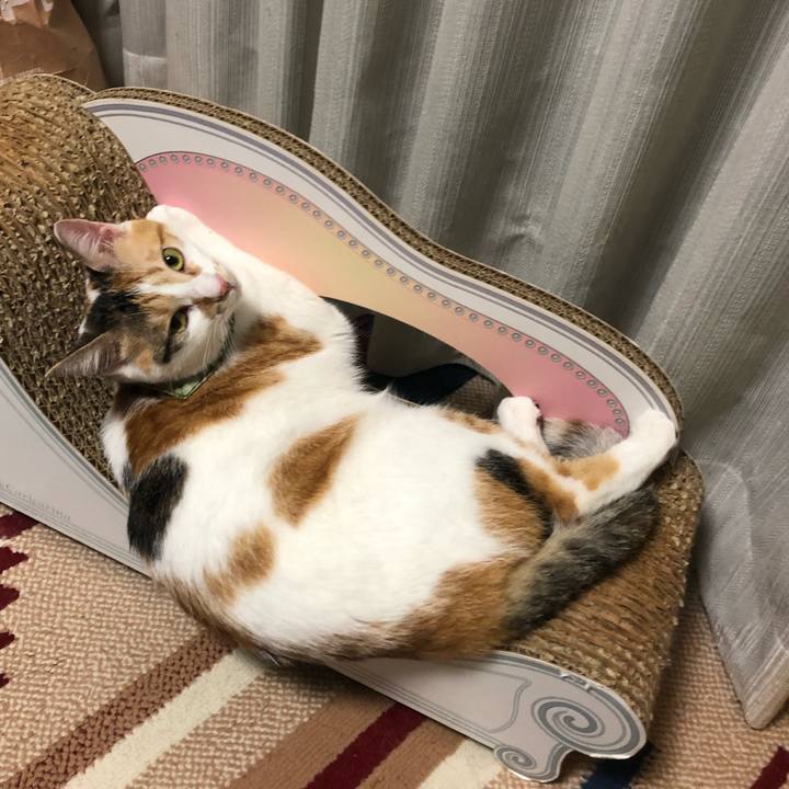 59d77ecd 3695 4fda a82b b11220c12dc8 1594467458549