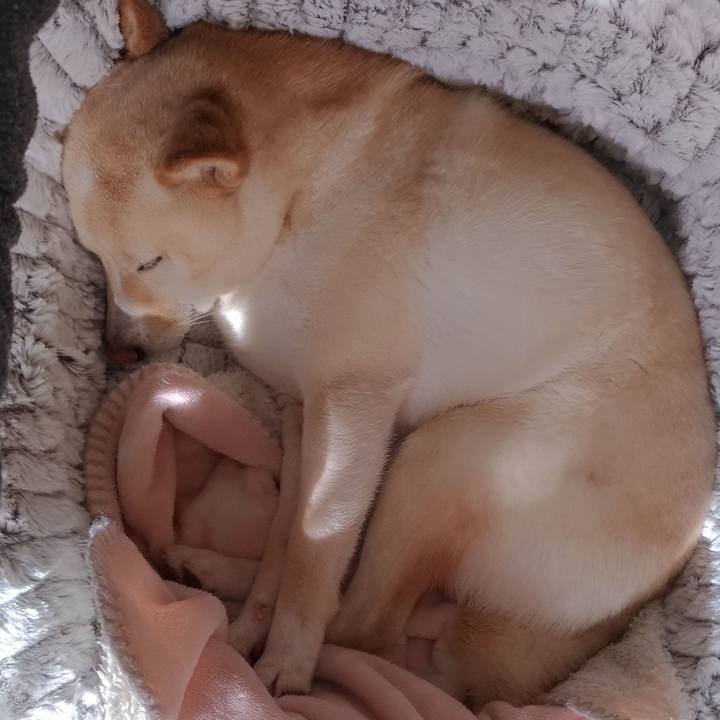 59d790d6 1d86 4911 9d0a ab5f2fed71c2 1579576347581