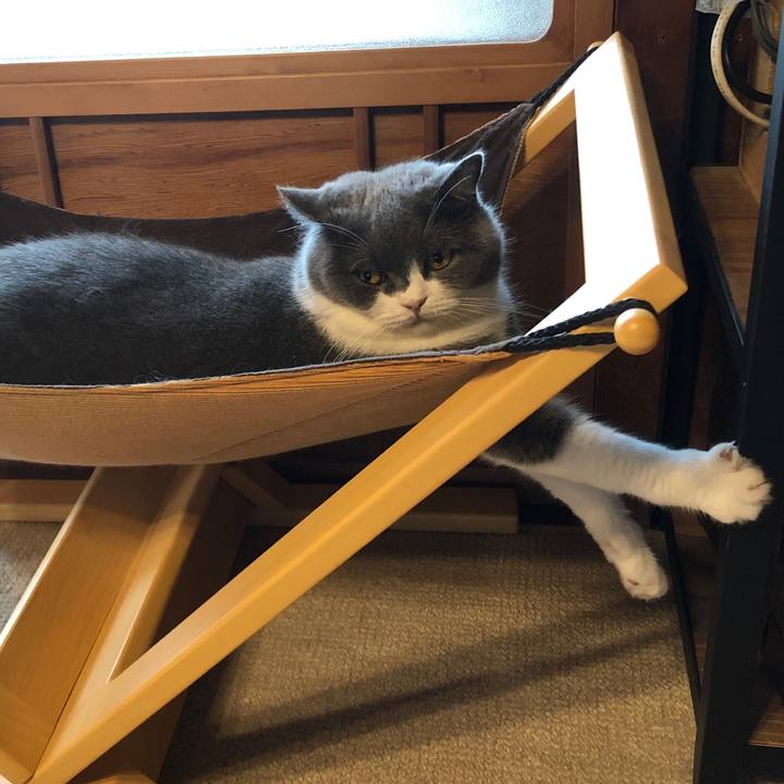 59d7af4d 1a4a 465d 9df4 ac013524568b 1594375190621