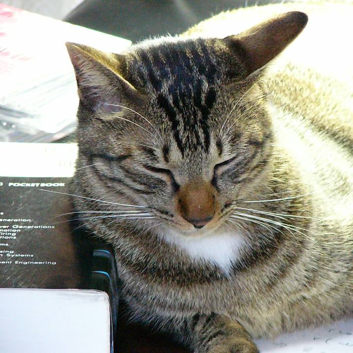 59d7c54f 211d 4d37 aa4b 2f6218de38fc 1557548251239