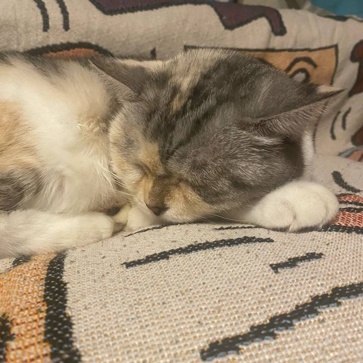 59d7ca32 7fe6 4dd5 9c7d da5f96af7449 1730717817831