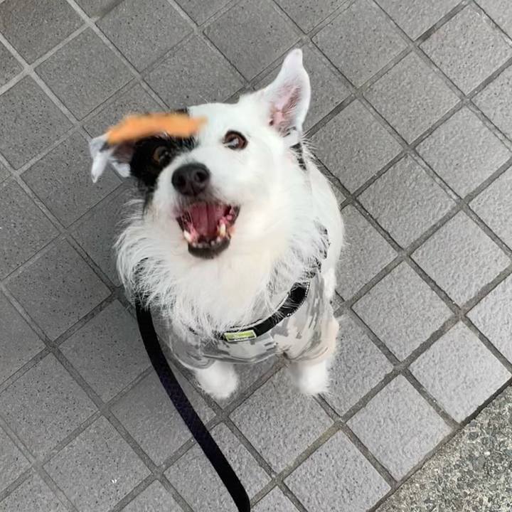 59d7d66a 8b61 45d0 9b58 84d9744977d4 1712017802443