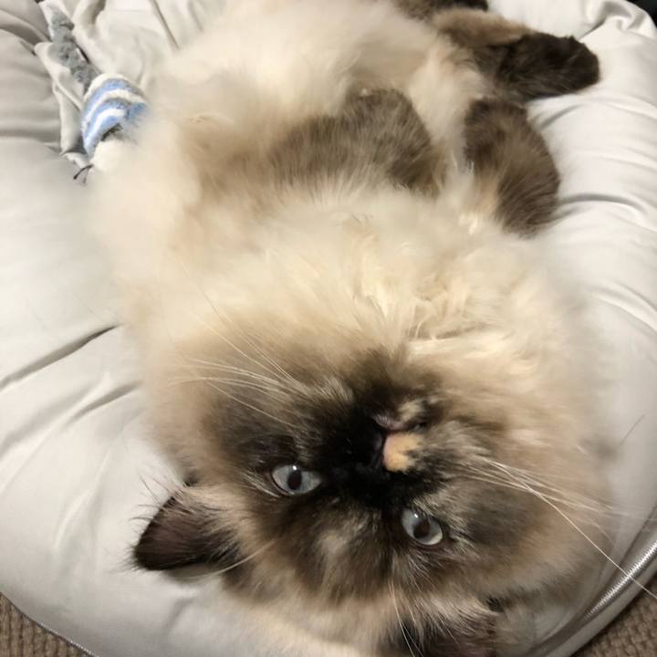 59d7e3c6 7c1b 4121 9b43 08a17965a86c 1639404700620