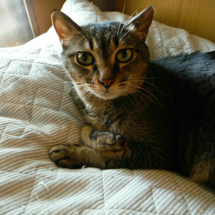 59d7ede5 5ee0 47fe 803f 5bb7a3ddb985 1568000386619