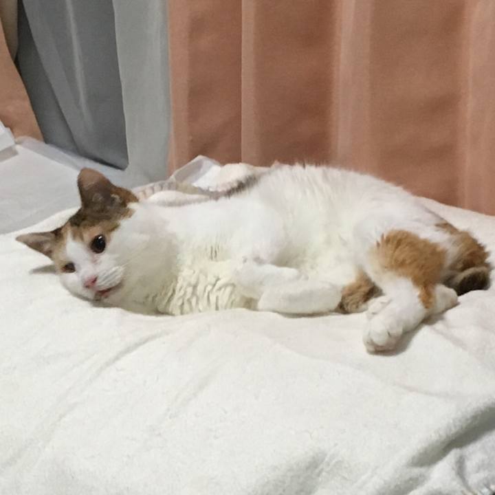 59d84550 b35a 4e16 97c4 49e94a7259b4 1625750640831