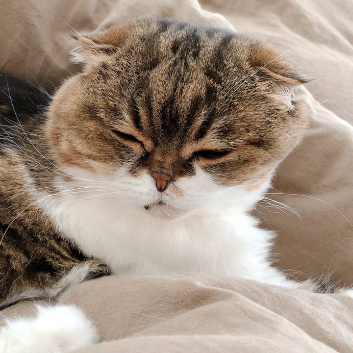 59d85ac0 a583 49f6 8fce ce67c4cd3f87 1587962291954