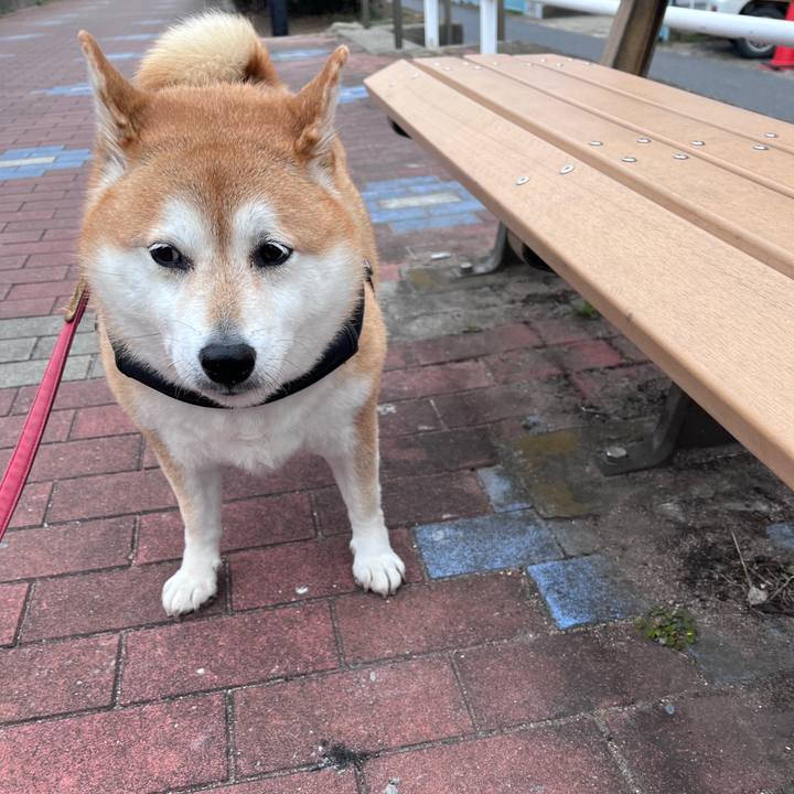 59d87149 336d 495a b6f0 2a4b3c666c8d 1701745588273