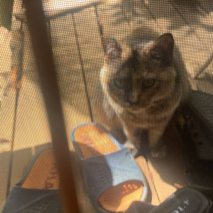 59d8bce2 9187 49fe 92cf a0e3ec8d1ac8 1618710405197