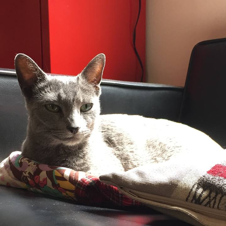 59d8edf4 ab05 4c6f 8433 af0ed11264ea 1525130050769