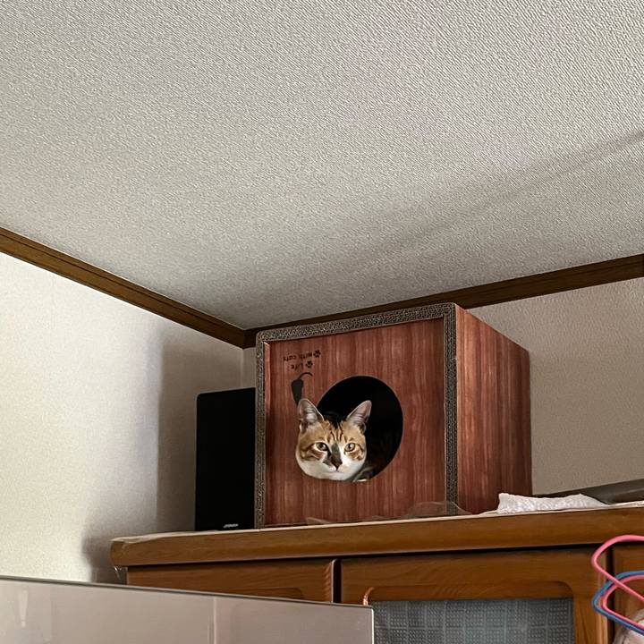 59d91c9d d54f 4fd8 8b12 647d8e59693c 1682857458305