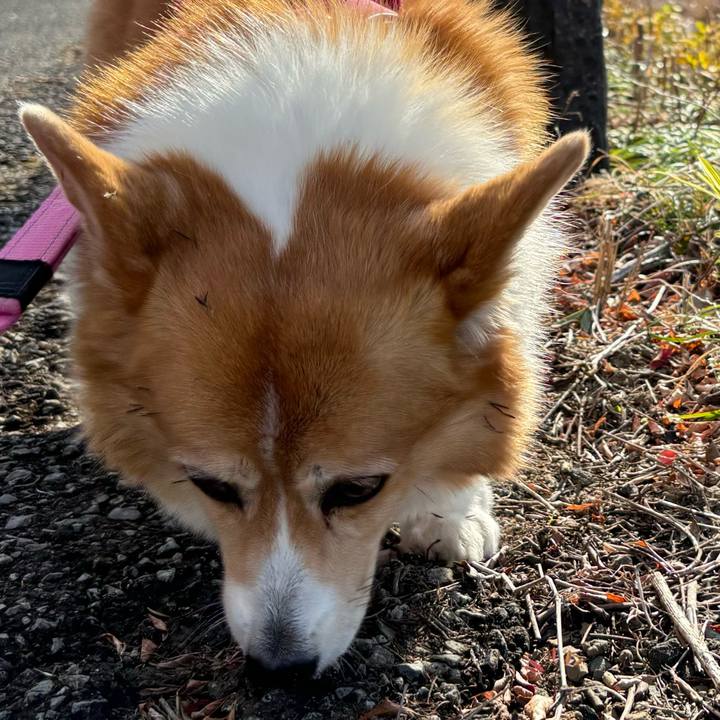 59d92420 7873 46d6 86a4 45b8c1315a09 1734499824045