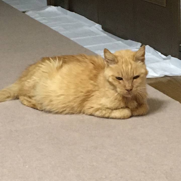 59d942e3 2ab4 4d20 a491 ec1f20861f87 1610966230820