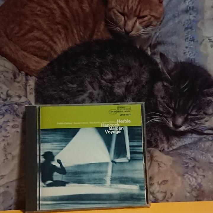 59d94520 8b75 43f5 b884 92f243583b8f 1622113400150