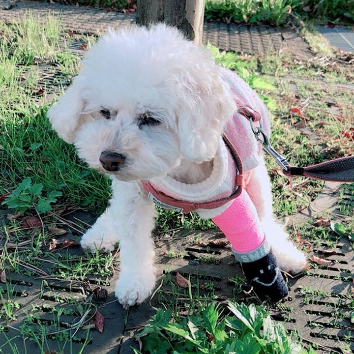 59d9788f 0f51 44b3 b46b 2a0a7eb34bac 1605340783603