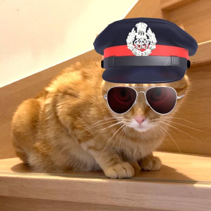 59d98955 8e74 4065 b918 4c8ac840a84f 1566652606268