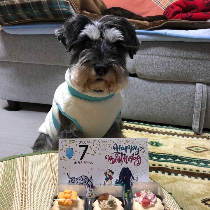 59d98c55 030f 488d a67b f5e597db7bd0 1609766480164