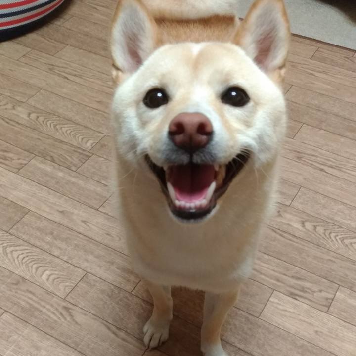 59d9a5c4 fee4 4d54 8927 c761e02ffe98 1533360945470