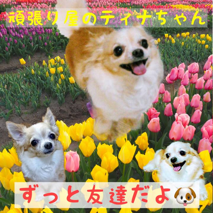 59d9ed34 794e 4704 9ad2 fea7b7ee7245 1545720411242