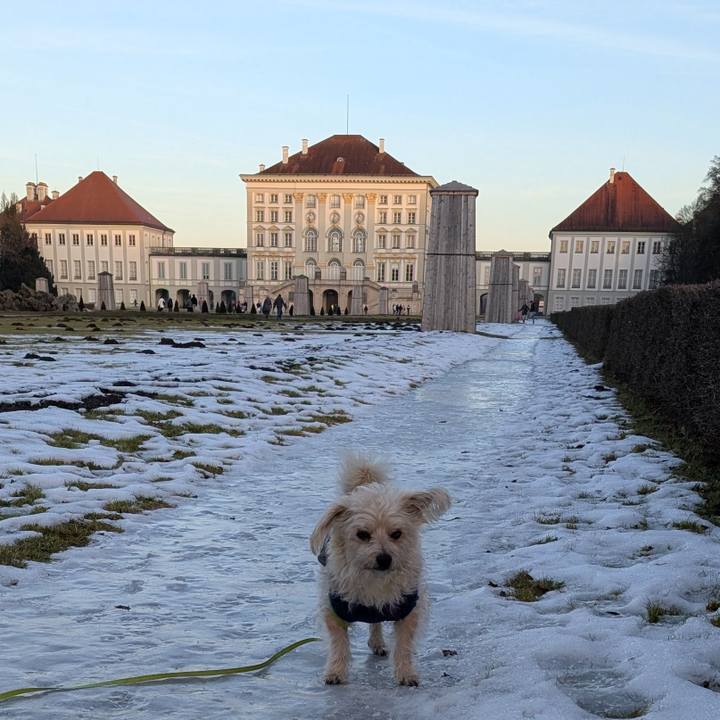 59d9f264 c9c2 4ef8 b742 fc1fc368b0b1 1768661362207