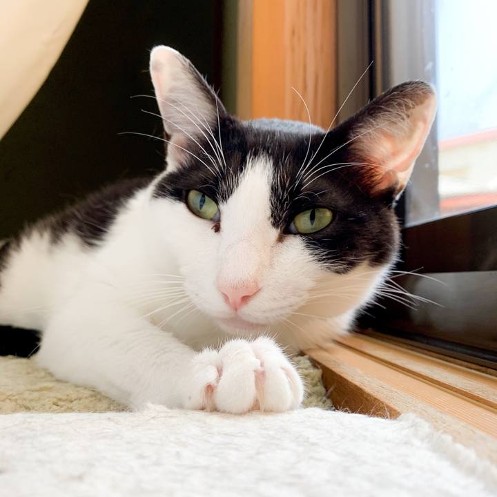 59da33b6 4d4b 408b b44a 3eb0eaf03bb0 1564446182748