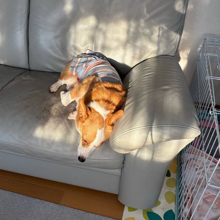 59da40eb b56f 425e 84b6 99a0c3a9ed2a 1757256779741