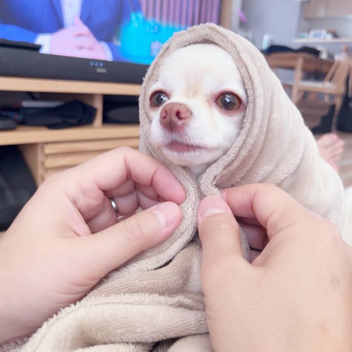 59da8ac0 8b91 48c4 a82e 3e1cf5124564 1746939212166