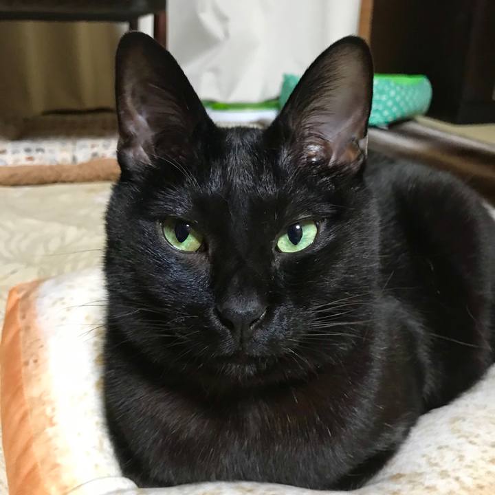 59da96f9 0b22 48cd ab85 ec7e88613718 1550926674345