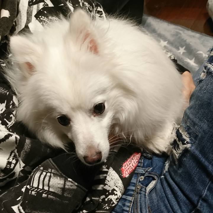 59da9a20 19eb 4fae 8e67 bb4ca9fe90c7 1612080383970